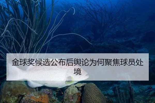 金球奖候选公布后舆论为何聚焦球员处境